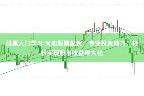 股票入门学习 河池股票配资：专业投资助力，轻松实现股市收益最大化