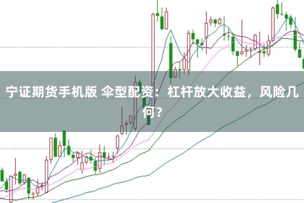 宁证期货手机版 伞型配资：杠杆放大收益，风险几何？