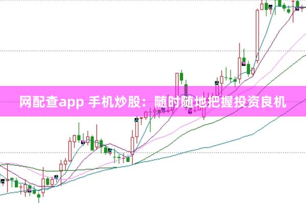 网配查app 手机炒股：随时随地把握投资良机