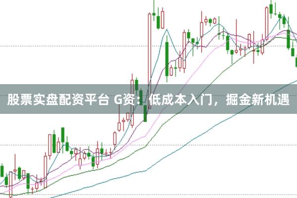 股票实盘配资平台 G资：低成本入门，掘金新机遇