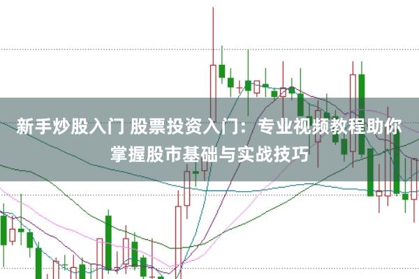 新手炒股入门 股票投资入门：专业视频教程助你掌握股市基础与实战技巧