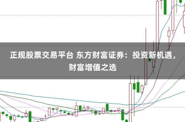 正规股票交易平台 东方财富证券：投资新机遇，财富增值之选