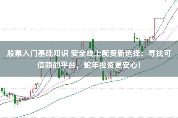 股票入门基础知识 安全线上配资新选择：寻找可信赖的平台，蛇年投资更安心！