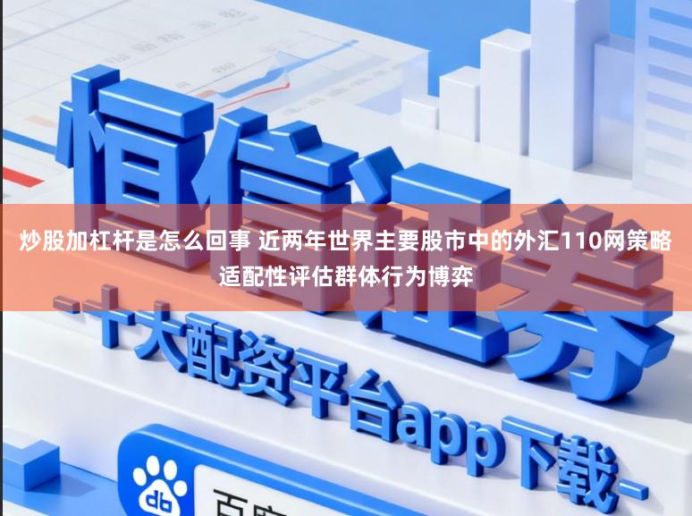 炒股加杠杆是怎么回事 近两年世界主要股市中的外汇110网策略适配性评估群体行为博弈