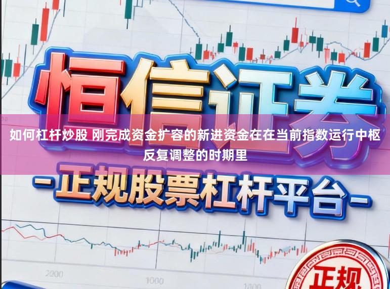 如何杠杆炒股 刚完成资金扩容的新进资金在在当前指数运行中枢反复调整的时期里